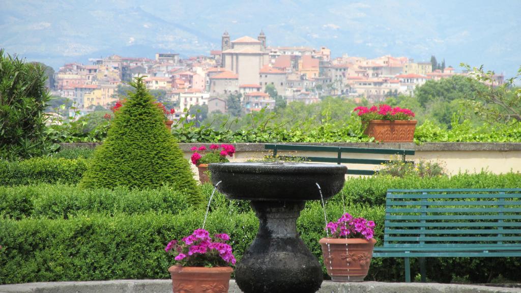 Villa Tuscolana Frascati Extérieur photo